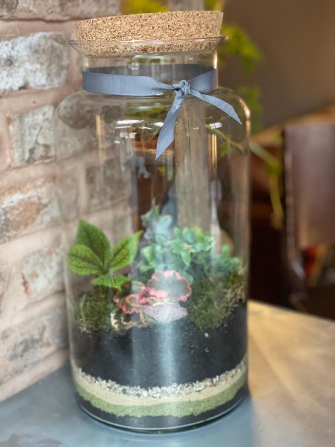 The Walled Garden At Cheshire Boutique Bathhouse Nantwich Extérieur photo